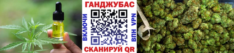 Cannafood конопля  Сольвычегодск 